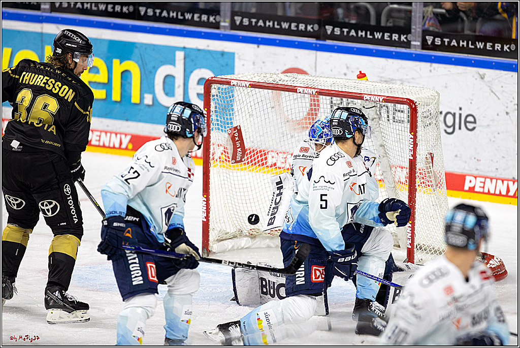 PENNY DEL;  Kölner Haie - ERC Ingolstadt; Köln, 25.11.2022